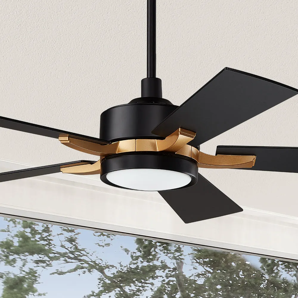 Apex Smart Ceiling Fan with LED Light and Remote Outdoor/Indoor 52"