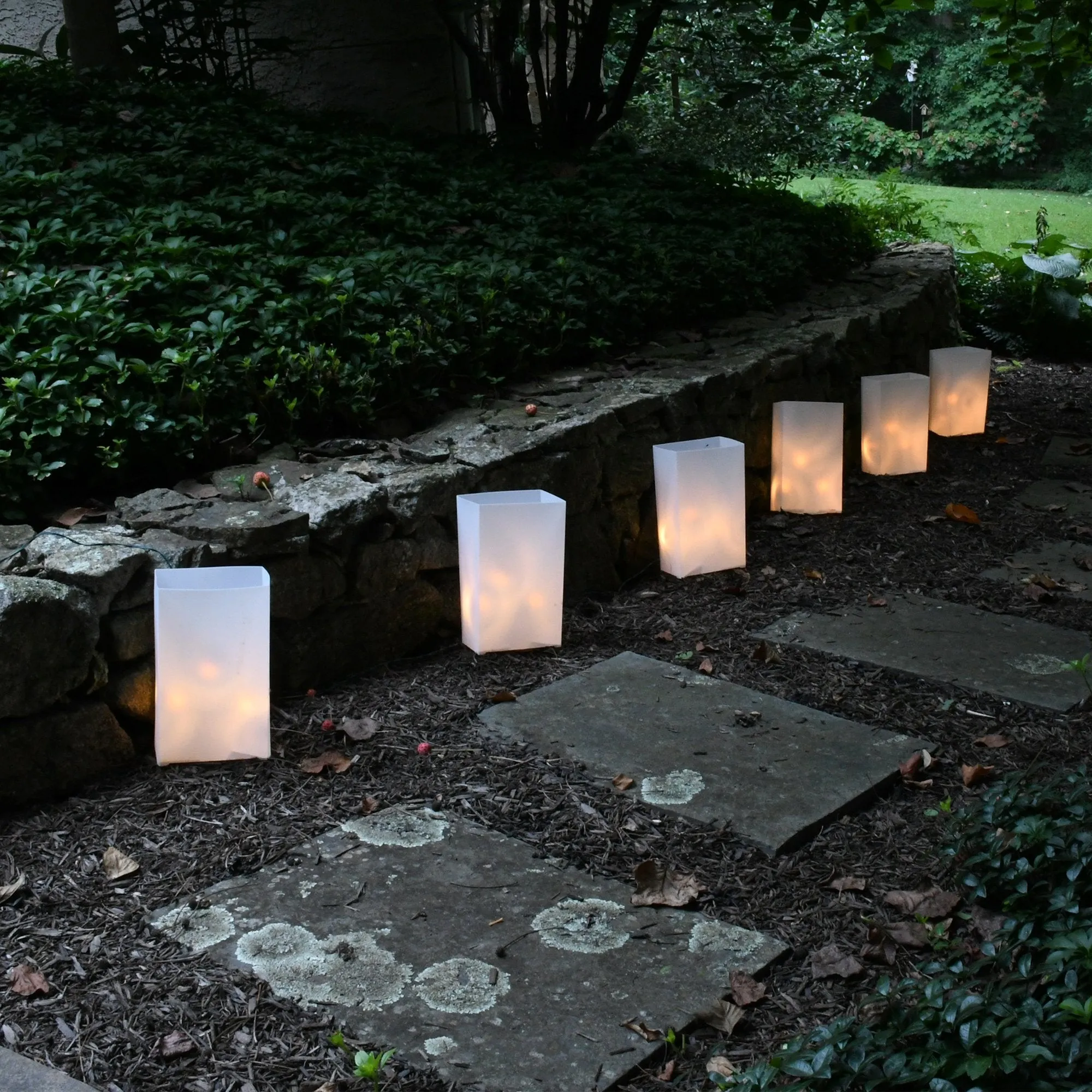 Electric LED Luminaria Kit