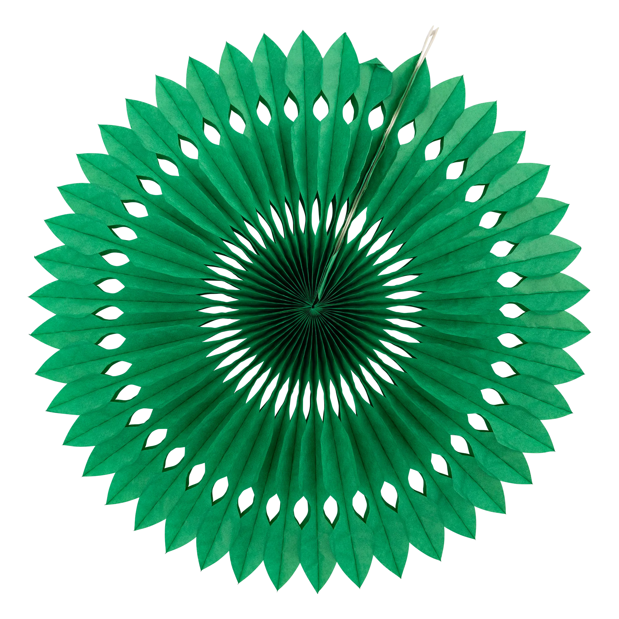 PLFN05 - Green and White Party Fan Set